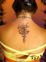 tatu2.jpg